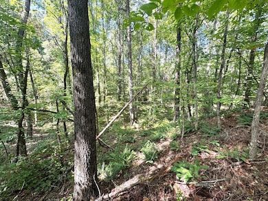 0 Chapel Hill Rd, Grenada, MS 38901 - photo 2