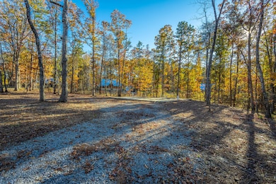 382 Plum Nelly Rd, Rising Fawn, GA 30738 - photo 5