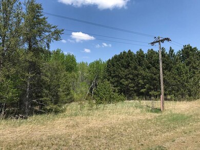 TBD State Hwy 34, Park Rapids, MN 56470 - photo 3