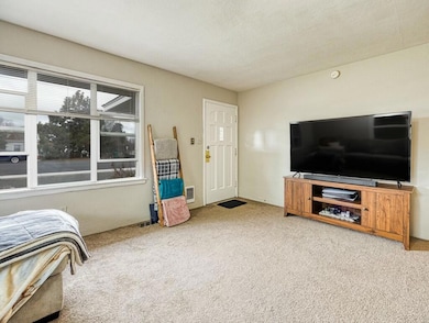 425 W 1st St, Merrill, OR 97633 - photo 5