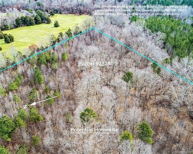 000 Vesuvius Furnace Rd, Iron Station, NC 28080 - photo 3