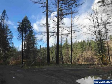 23655 Santiam Way SE, Lyons, OR 97358 - photo 4