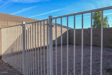 Doggie Area