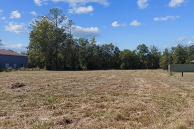 0 N Main St, Bell, FL 32619 - photo 5