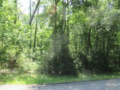 337 Noel, Cedar Point, TX 77351 - photo 4