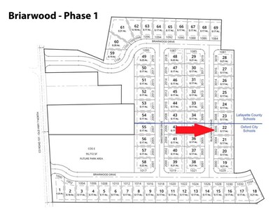 3006 Blackbriar Dr, Oxford, MS 38655 - photo 4