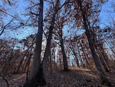 51500 River Rd, Milan, MO 63556 - photo 4