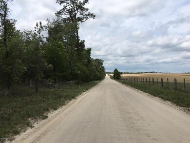 TBD SE Tbd 20th St, Morriston, FL 32668 - photo 2