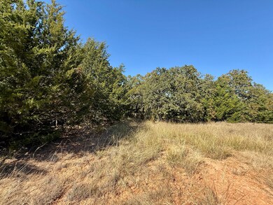 Big Tree Rd, Montague, TX 76251 - photo 5