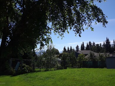 Nice large back yard
