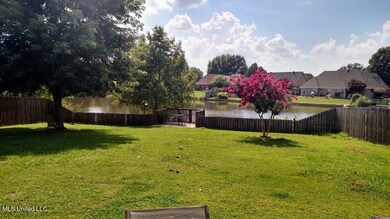 02-Back Yard Spring