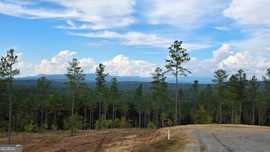 75 Elkton Ct, Ellijay, GA 30540 - photo 7