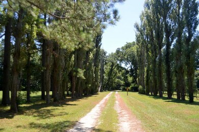 Entrance driveway 