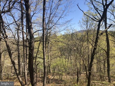 29 Ashton Woods Dr, Old Fields, WV 26836 - photo 6