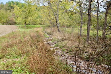 0 3 03 Ac Off Rt 259 Cove Mountain Rd unit WVHD2001754, Mathias, WV 26812 - photo 5
