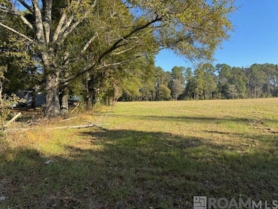 TBD Buck Carroll Rd, Walker, LA 70785 - photo 2