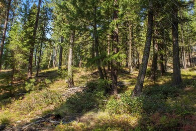 66 Truckee Trail unit 17, Cascade, ID 83611 - photo 6