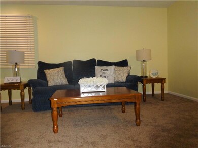 Living room with new carpet and paint