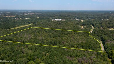 Jamison Ct-23 Acres-4a