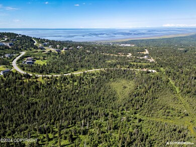 L3 B5 Mountain Air Dr, Anchorage, AK 99516 - photo 5