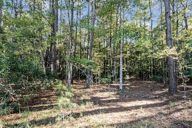 HFL_PLOW GROUND RD_30 ACRES-6