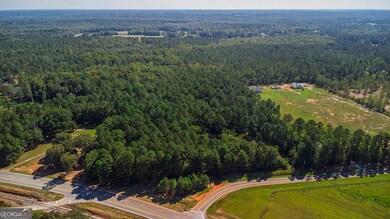 0 Rest Haven Rd unit 10652109, Yatesville, GA 31097 - photo 2