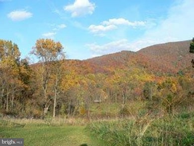 0 Pine Grove Rd unit 1000201933, Stanley, VA 22851 - photo 5