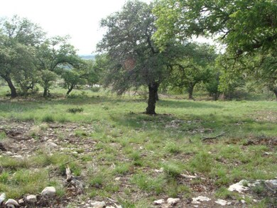 0 Sugar Creek Trail unit 1 56703, Fredericksburg, TX 78624 - photo 4