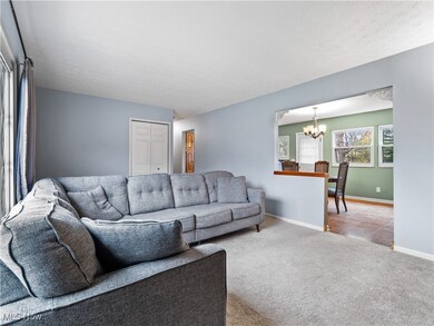 26925 Southwood Ln, Olmsted Falls, OH 44138 - photo 5