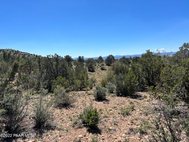 293 Old Deputy Shortline, Ash Fork, AZ 86320 - photo 3