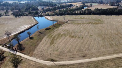 Tract 2 Beth Dr, Nichols, SC 29581 - photo 6