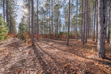 8077 W 8 Mile Rd, Irons, MI 49644 - photo 7