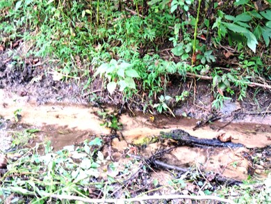 0 Colyer Rd, Greeneville, TN 37743 - photo 6