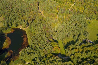 0 Twin Pond Rd, Pomfret, VT 05068 - photo 3