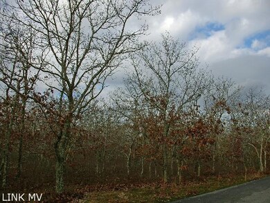 Lot off of paved road
