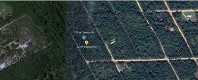 228 W Edgeline Rd, Satsuma, FL 32189 - photo 4