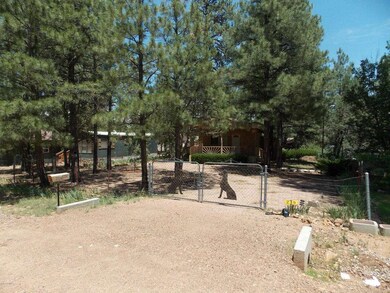 2863 Big Pine 003