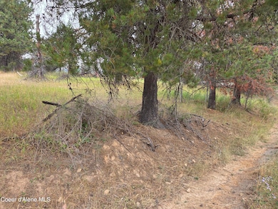 Lot 2B Upper Dr, Osburn, ID 83849 - photo 6