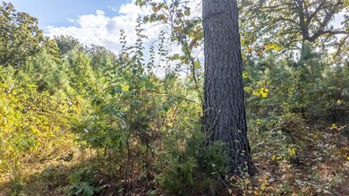 Tbd S 12 St & Goldsmith Ave, Mammoth Spring, AR 72554 - photo 6