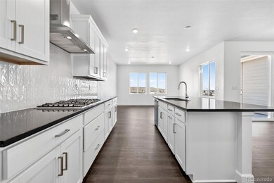 17095 W 92nd Loop, Arvada, CO 80007 - photo 3