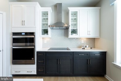 508 Slick Terrace, Martinsburg, WV 25403 - photo 4