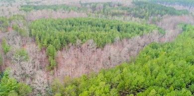 00 Todd Bridge Rd, Walhalla, SC 29691 - photo 4