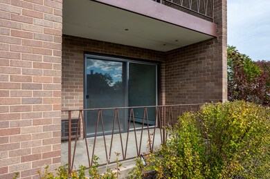 484 N Addison Ave unit 101E, Elmhurst, IL 60126 - photo 4