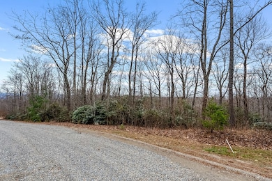 Lot 23 W Pheasant Chase, Ararat, VA 24053 - photo 7