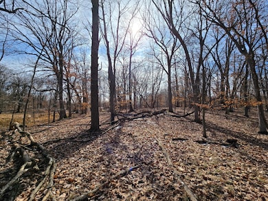 XXXX Julep Trail N, Columbus, MN 55025 - photo 3