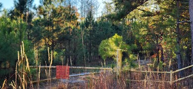 0 Budapest Rd unit 1522426, Tallapoosa, GA 30176 - photo 2