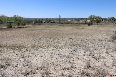 2606 Fairway Dr, Cortez, CO 81321 - photo 4