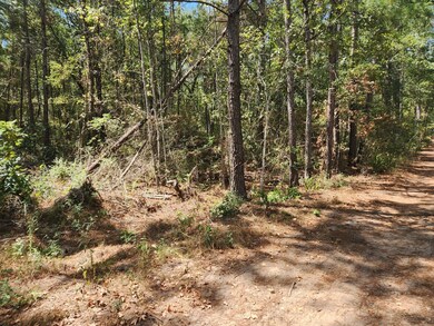 Lot 24 Yellow Poplar Ln, Plantersville, TX 77363 - photo 4