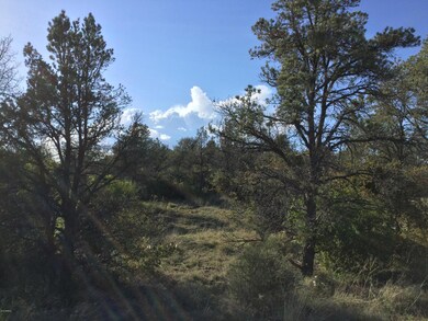 Mature Trees on Lot