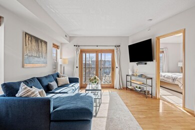 750 Mainstreet unit 202, Hopkins, MN 55343 - photo 3